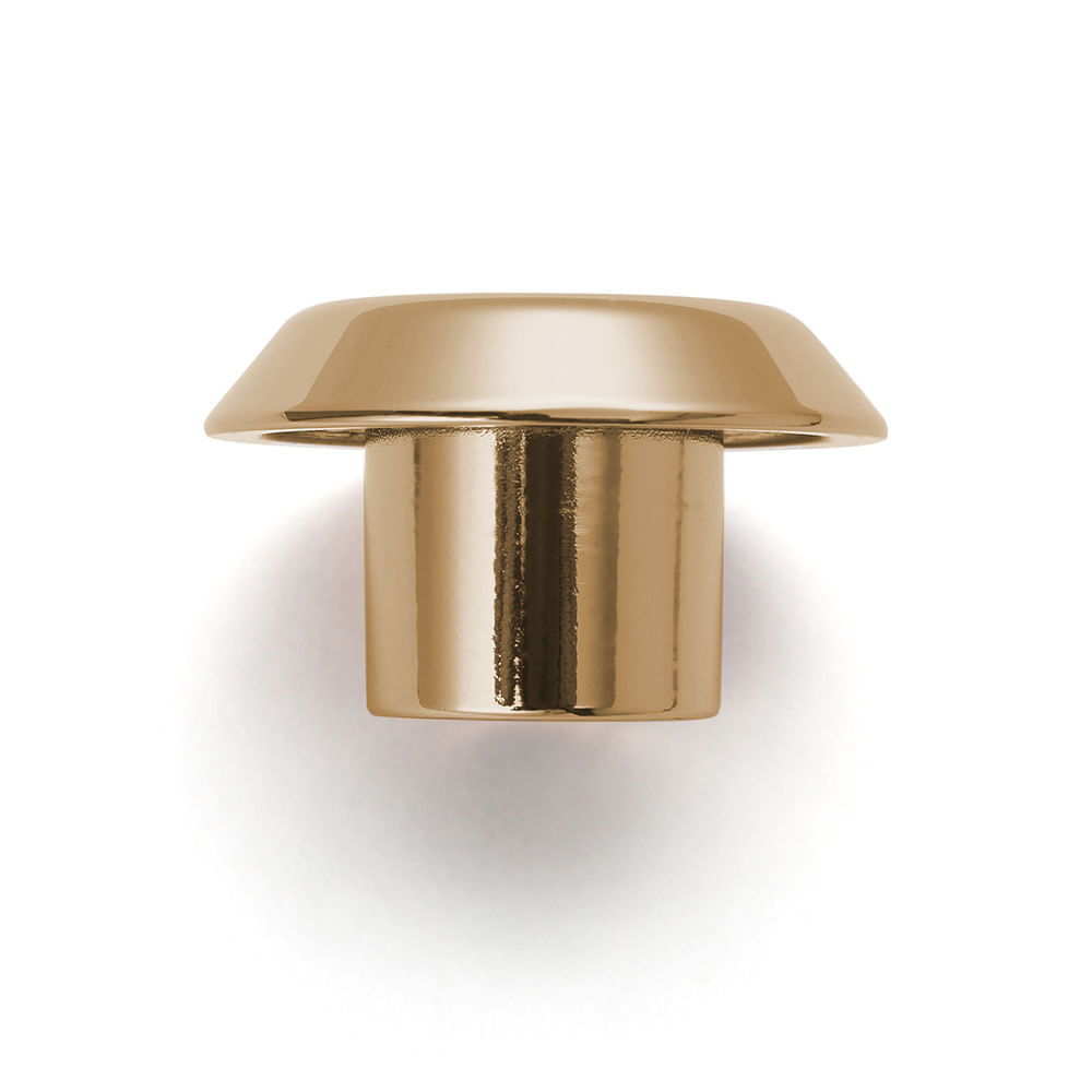Disk P_Gold_2